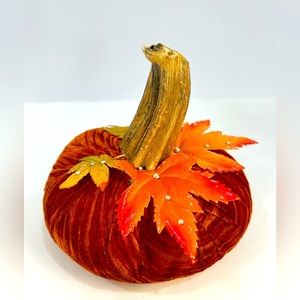 “Splendor” Velvet Pumpkin Home Decor